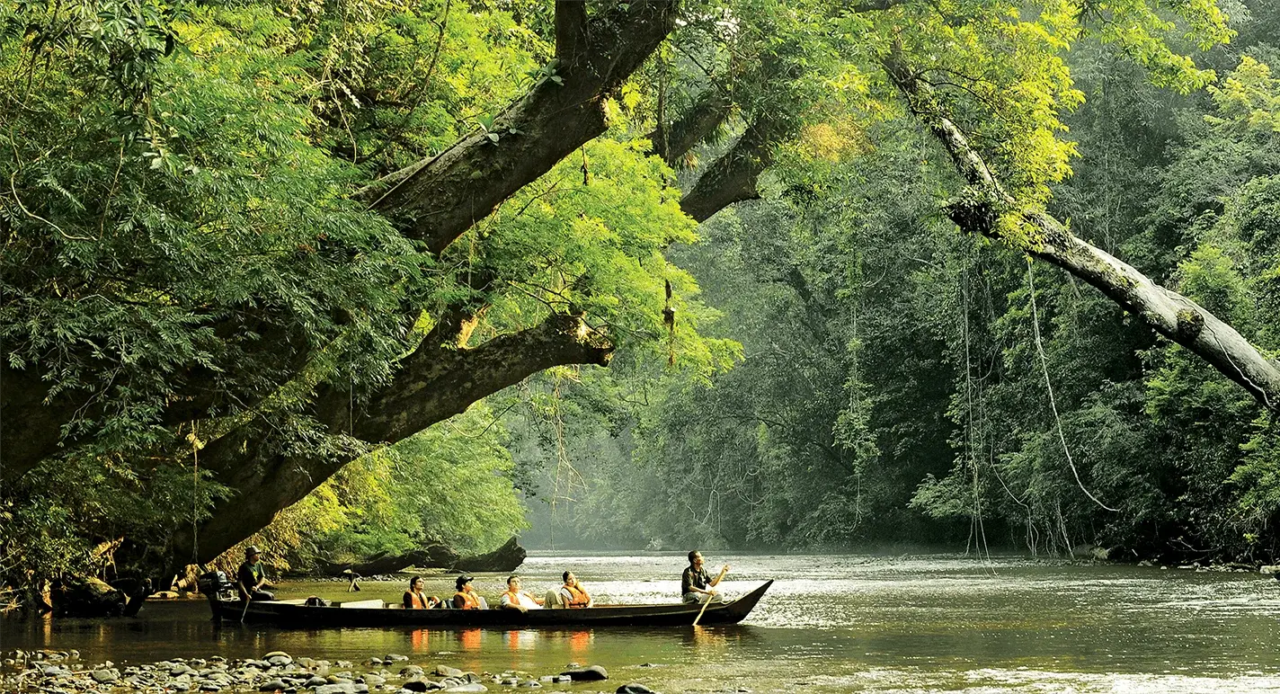 TAMAN NEGARA KUALA TAHAN